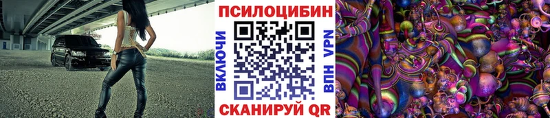 Купить где  Свирск  Псилоцибиновые грибы Psilocybe 